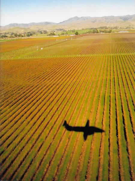 airplane over marlborough vineyard