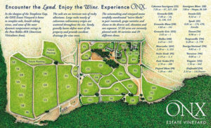 vineyard-map-ONX-winery