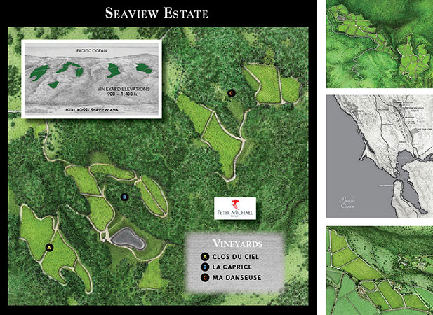 vineyard-map-seaview-estate-ca-coast