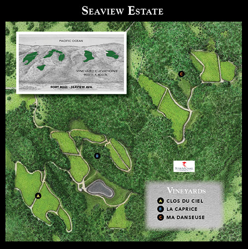 vineyard-map-seaview-estate