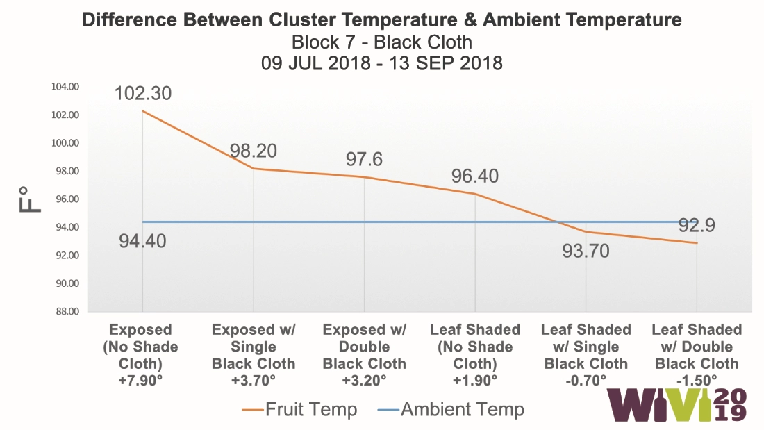 vineyard-shade-cloth-reduces-grape-temperature