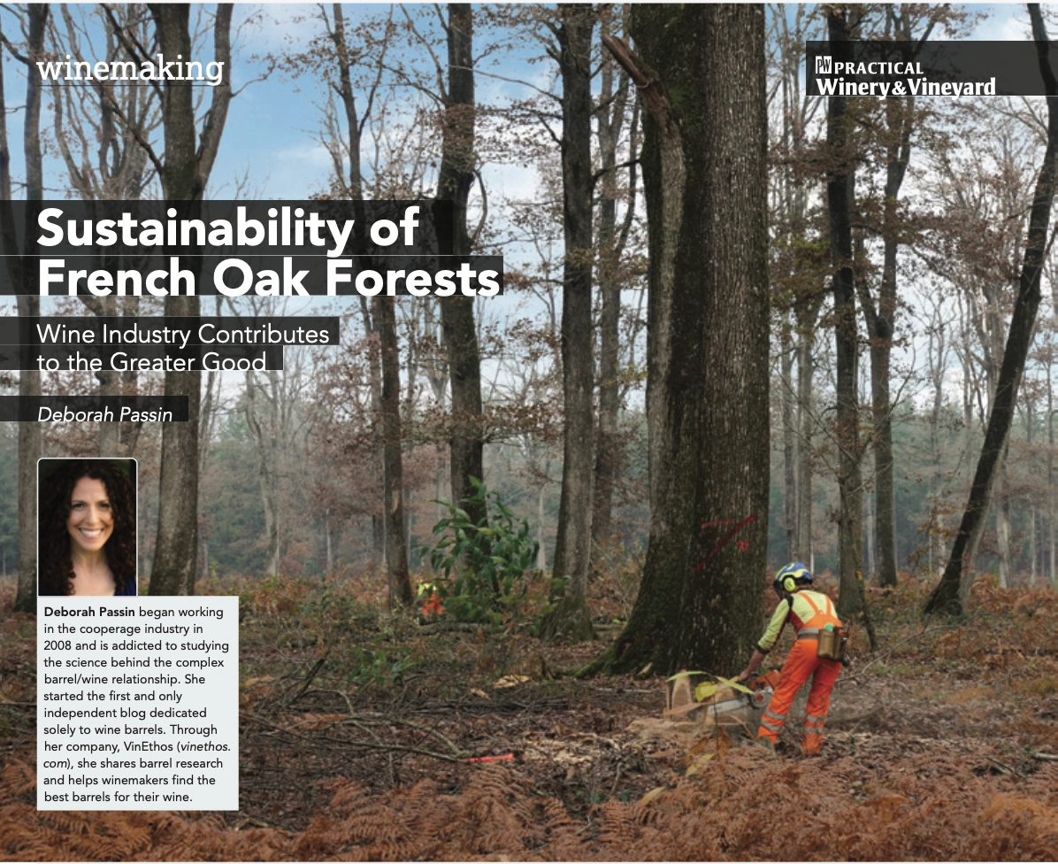Sustainability-French-oak-forest-wine