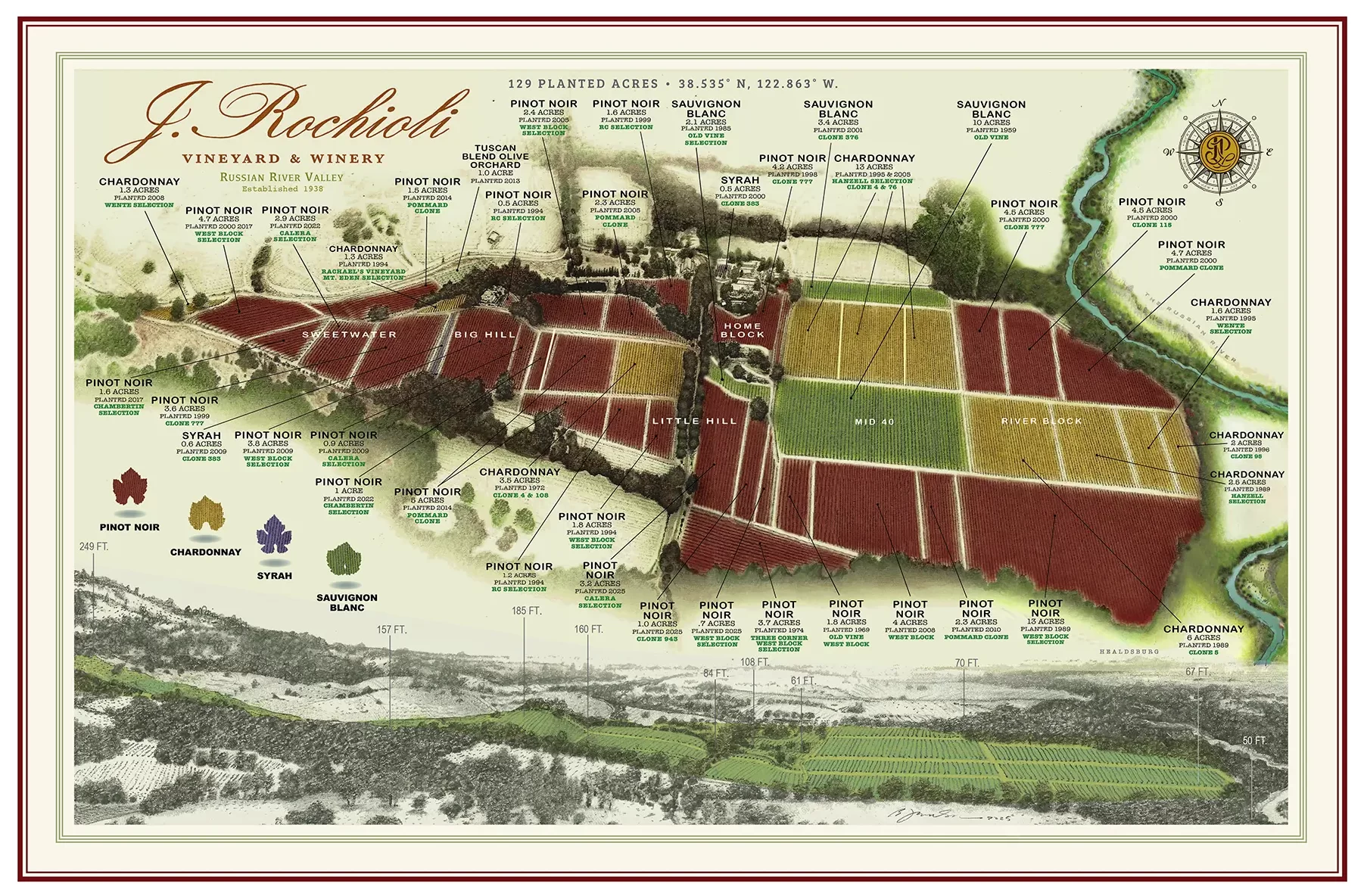 bob-johnson-estate-vineyard-map-clones-rrv