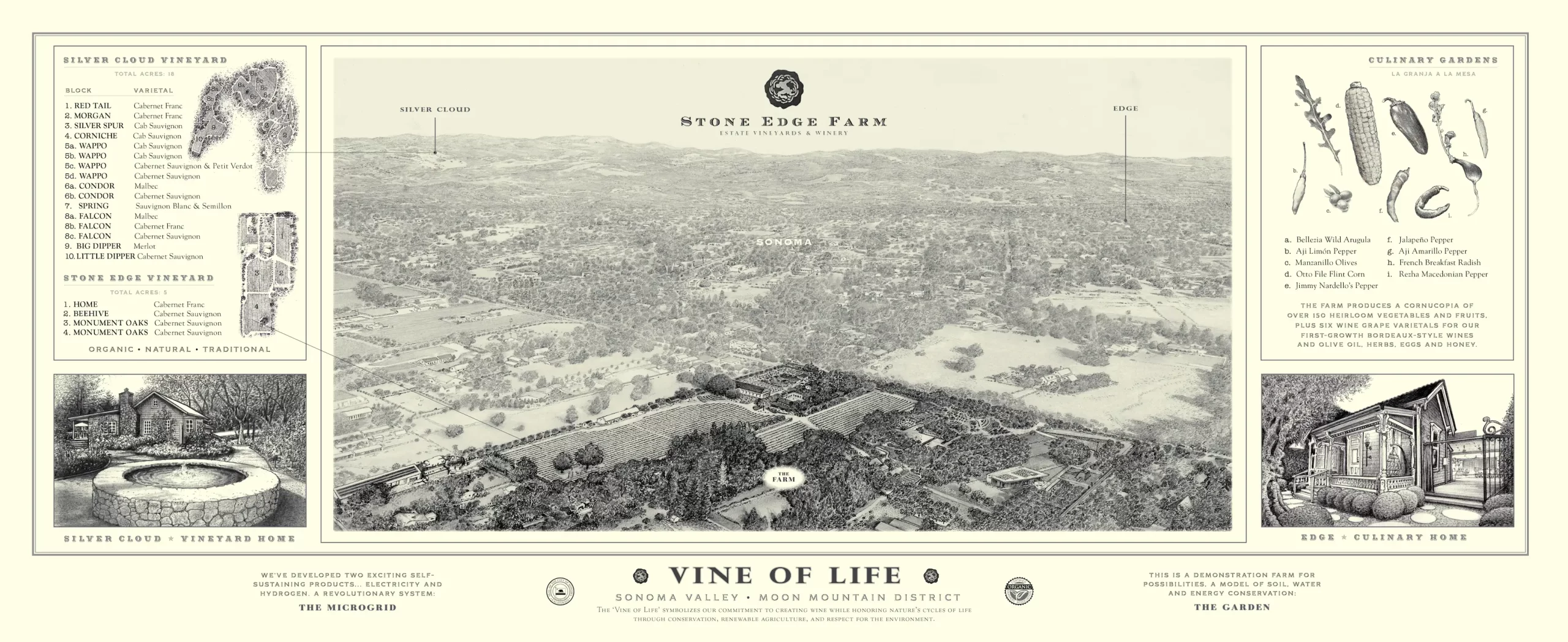 bob-johnson-estate-vineyard-map-moon-mountain