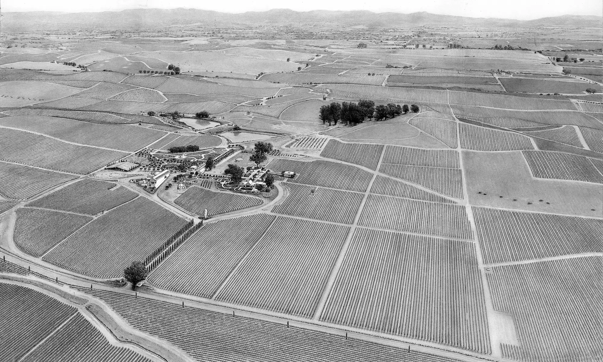 bob-johnson-estate-vineyard-map-sonoma