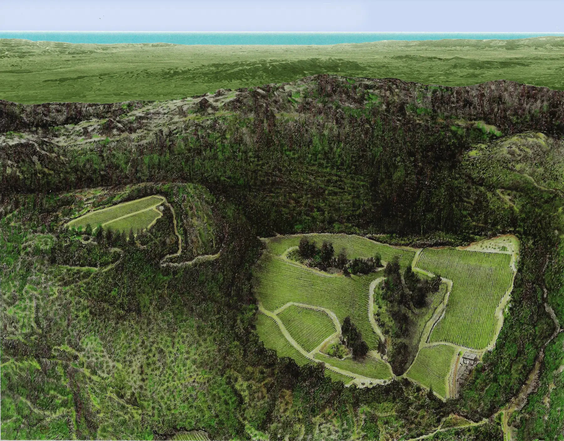 bob-johnson-vineyard-map-color-aerial