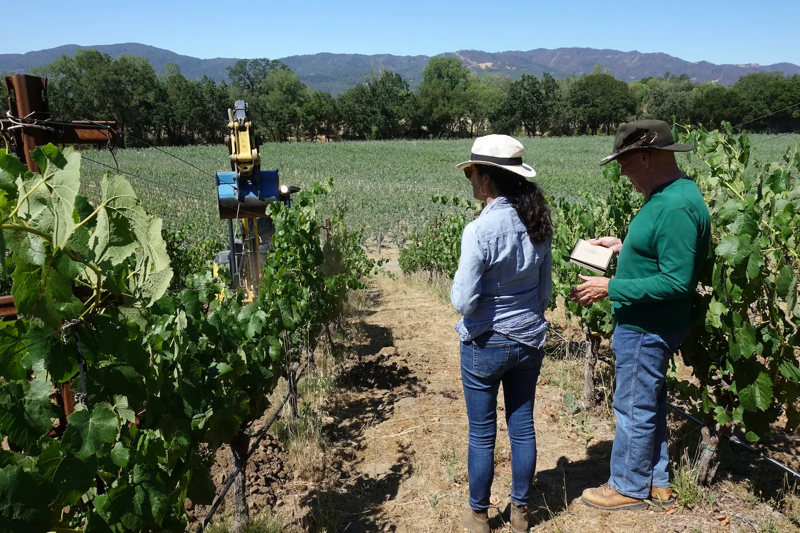 bob-johnson-vineyard-map-field-research