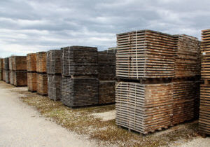 stacks-of-wood-seasoning-featured-image