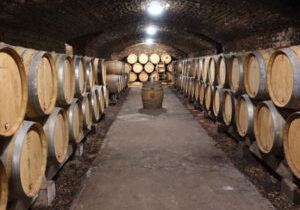 wine-freshness-barrels-feature